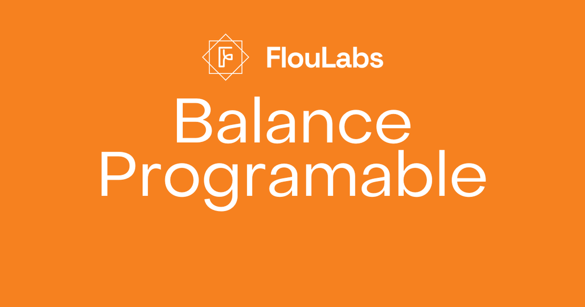 Portada de El Balance Programable, serie de FlouLabs: logo de FlouLabs y el título Balance Programable en blanco sobre fondo naranja